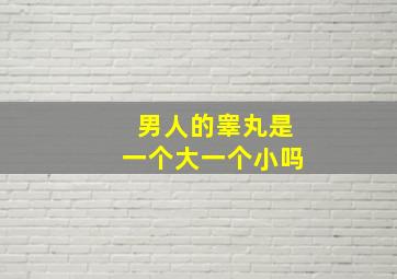 男人的睾丸是一个大一个小吗