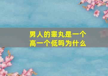 男人的睾丸是一个高一个低吗为什么