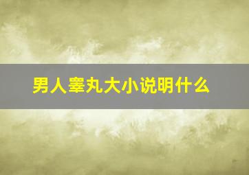 男人睾丸大小说明什么