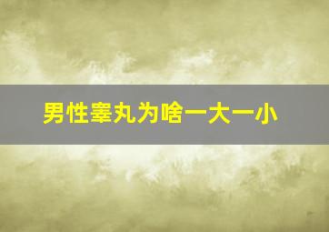 男性睾丸为啥一大一小