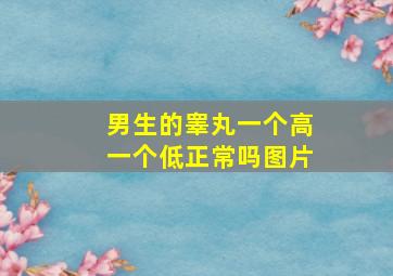 男生的睾丸一个高一个低正常吗图片