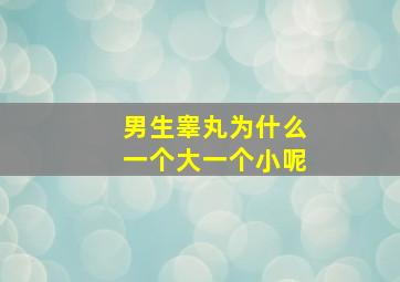 男生睾丸为什么一个大一个小呢