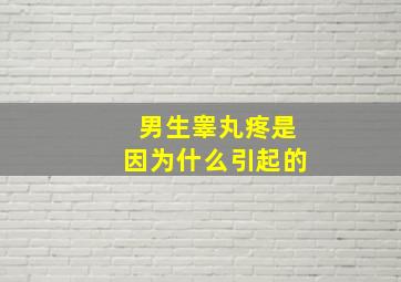 男生睾丸疼是因为什么引起的