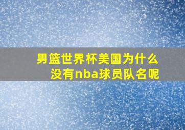 男篮世界杯美国为什么没有nba球员队名呢