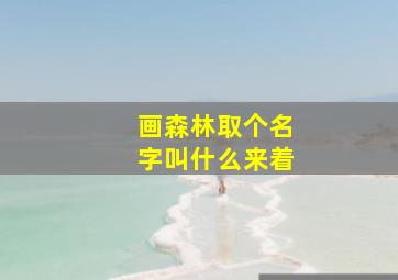 画森林取个名字叫什么来着