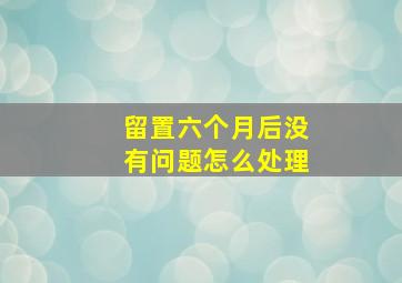 留置六个月后没有问题怎么处理