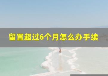 留置超过6个月怎么办手续