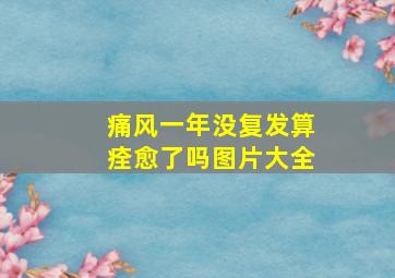 痛风一年没复发算痊愈了吗图片大全