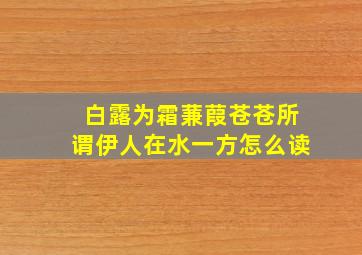 白露为霜蒹葭苍苍所谓伊人在水一方怎么读