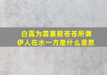 白露为霜蒹葭苍苍所谓伊人在水一方是什么意思