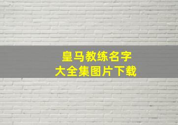 皇马教练名字大全集图片下载