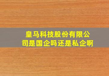 皇马科技股份有限公司是国企吗还是私企啊