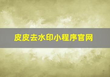 皮皮去水印小程序官网