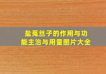 盐菟丝子的作用与功能主治与用量图片大全