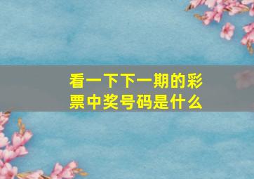 看一下下一期的彩票中奖号码是什么