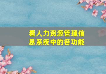 看人力资源管理信息系统中的各功能