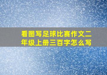 看图写足球比赛作文二年级上册三百字怎么写