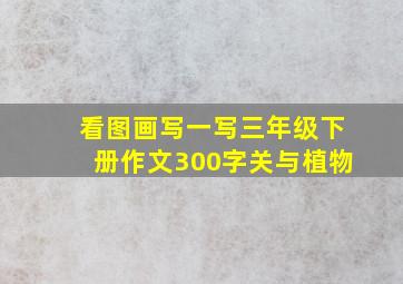 看图画写一写三年级下册作文300字关与植物