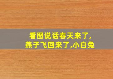 看图说话春天来了,燕子飞回来了,小白兔