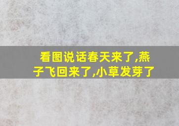 看图说话春天来了,燕子飞回来了,小草发芽了