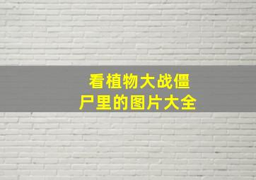 看植物大战僵尸里的图片大全