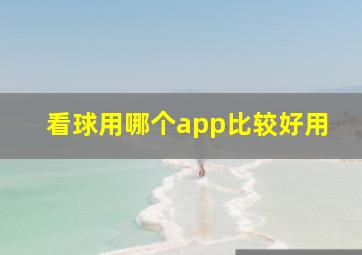 看球用哪个app比较好用