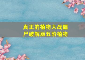 真正的植物大战僵尸破解版五阶植物