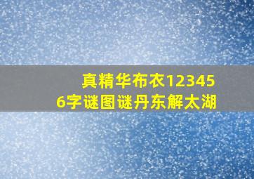 真精华布衣123456字谜图谜丹东解太湖