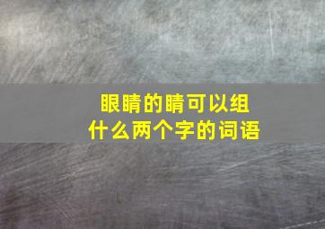 眼睛的睛可以组什么两个字的词语