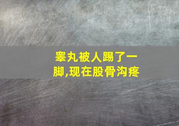 睾丸被人踢了一脚,现在股骨沟疼