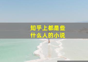 知乎上都是些什么人的小说