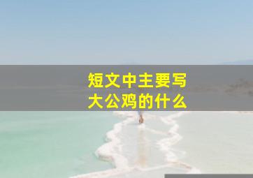 短文中主要写大公鸡的什么