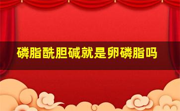 磷脂酰胆碱就是卵磷脂吗