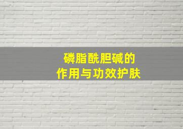 磷脂酰胆碱的作用与功效护肤