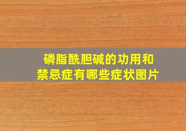 磷脂酰胆碱的功用和禁忌症有哪些症状图片