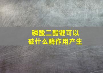 磷酸二酯键可以被什么酶作用产生