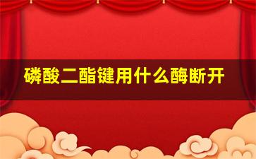 磷酸二酯键用什么酶断开