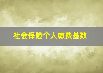 社会保险个人缴费基数