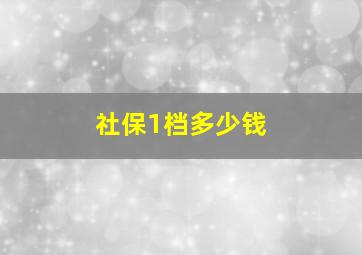 社保1档多少钱