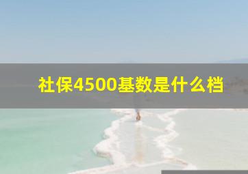 社保4500基数是什么档