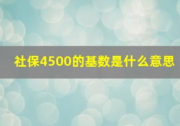 社保4500的基数是什么意思