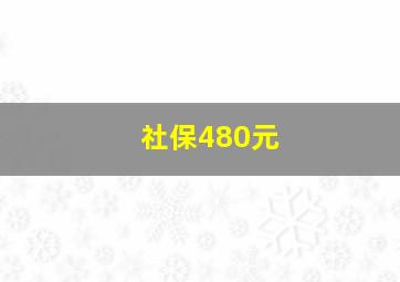 社保480元