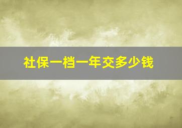 社保一档一年交多少钱