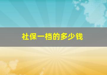 社保一档的多少钱