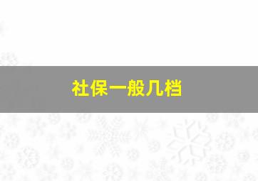 社保一般几档