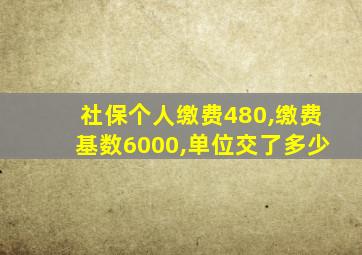 社保个人缴费480,缴费基数6000,单位交了多少