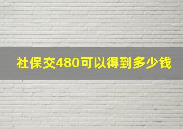 社保交480可以得到多少钱