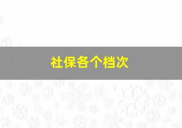 社保各个档次