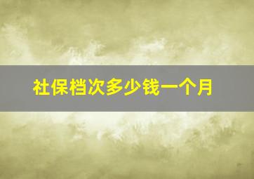 社保档次多少钱一个月