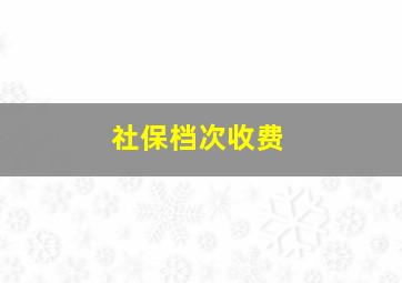 社保档次收费